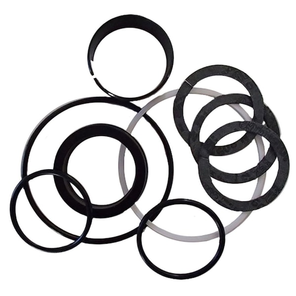 Aftermarket Cylinder Seal Kit D42873 - main